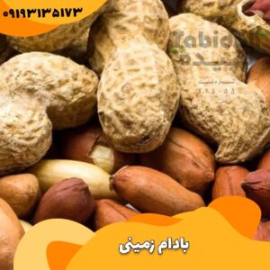 بادام زمینی کپسولی