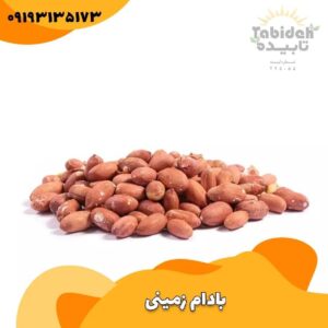 بادام زمینی