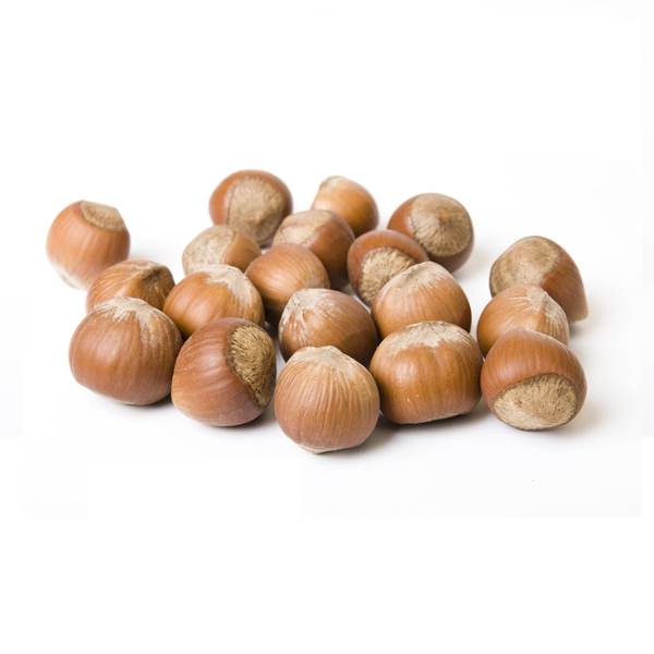 معایب و مزایایی فندق