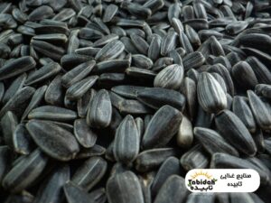 قیمت عمده تخمه آفتابگردان تخمه آفتاب گردان بهترین تخمه شمشیری تخمه نمکی تخمه خام ارسال به سراسر ایران تخمه (3)