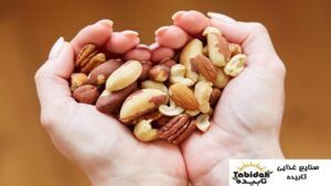 آجیل طبیعی و بدون افزودنی