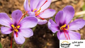 بهترین زعفران