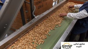 تهیه آجیل با کیفیت