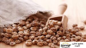 تهیه آجیل با کیفیت