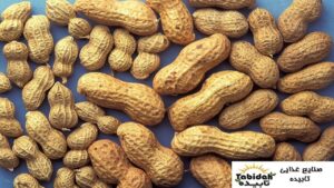 خرید آجیل خانگی