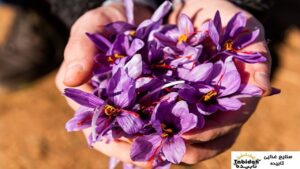 خرید آنلاین