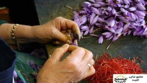 خرید آنلاین