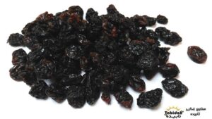 فروشگاه مویز سیاه 