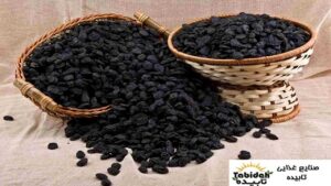 مویز سیاه باکیفیت